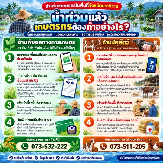  น้ำท่วมแล้ว พืชเสียหาย สัตว์ได้รับผลกระทบ ต้องทำอย่างไร? เกษตรกรนราธิวาสเช็กไว้เลย!